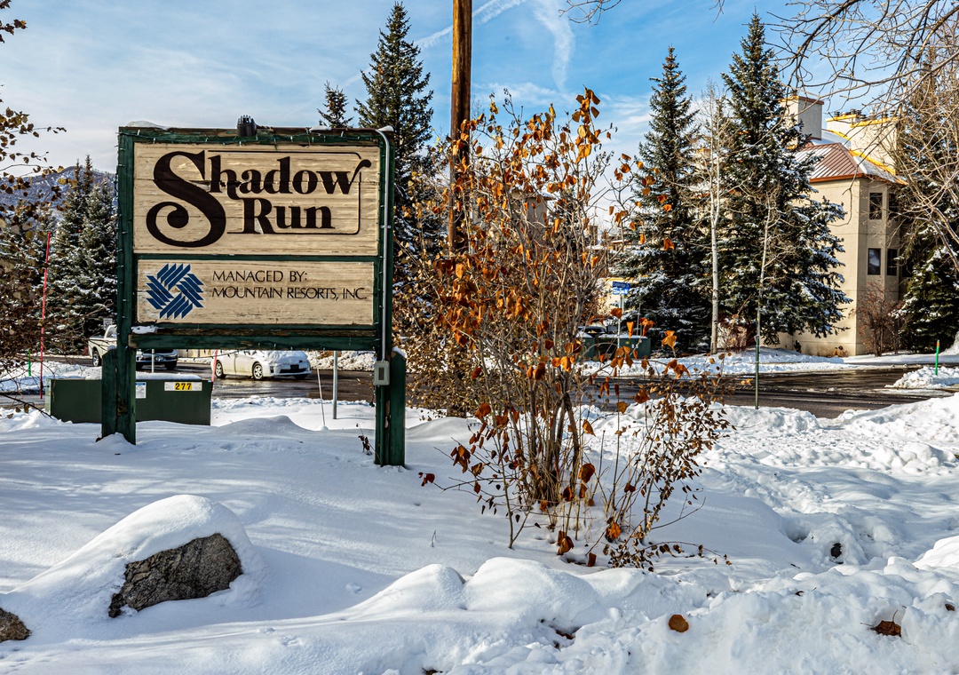 Shadow Run
