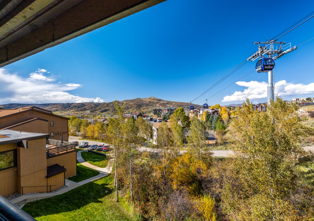 View from Patio