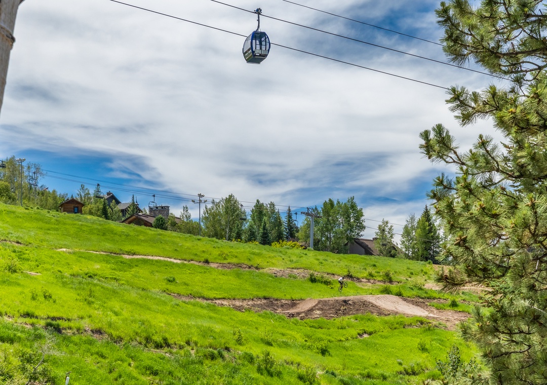 Ski Area Views in summer