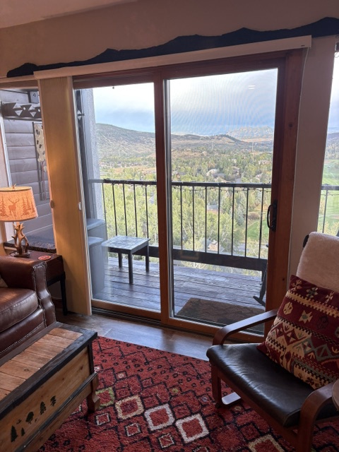 Living Room/Patio View