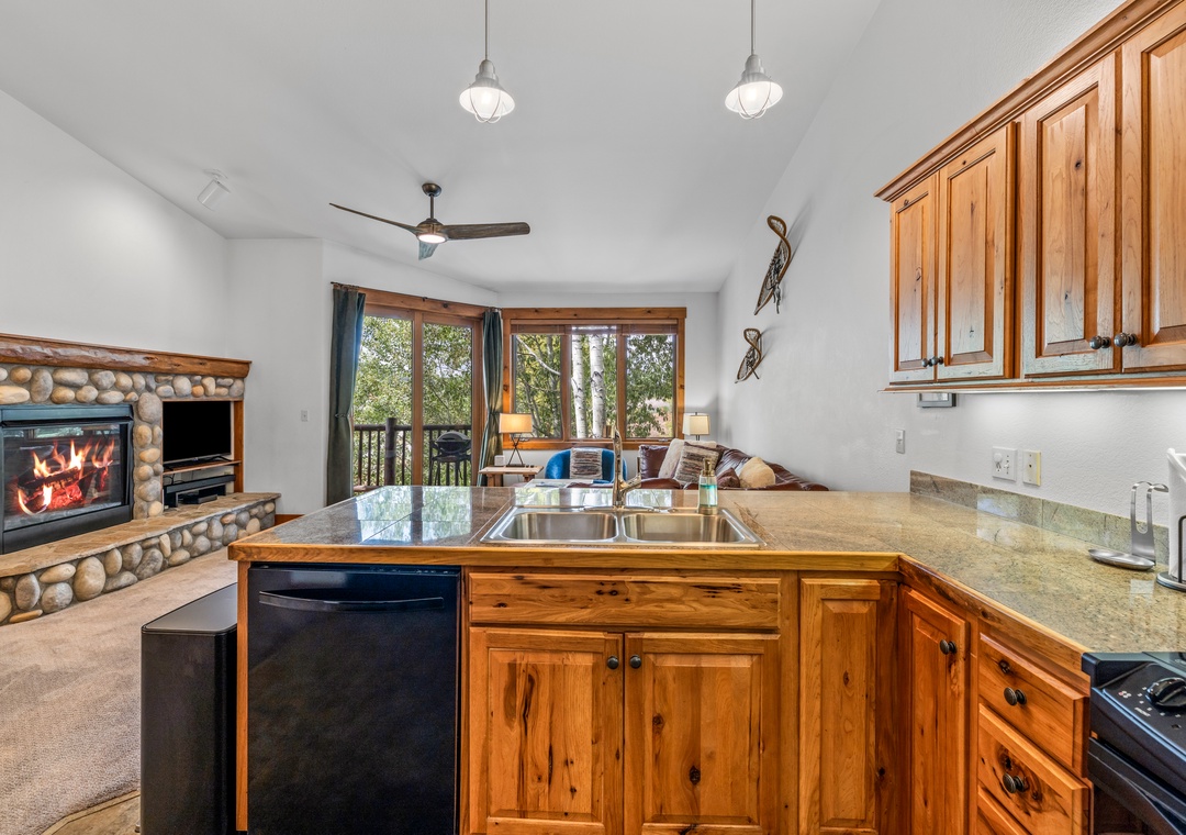 Kitchen Area