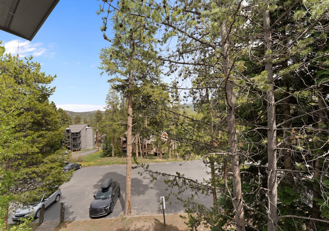 Mountain lodges nestle among towering pines and native trees, with convenient parking and paved access defining this peaceful alpine community setting.