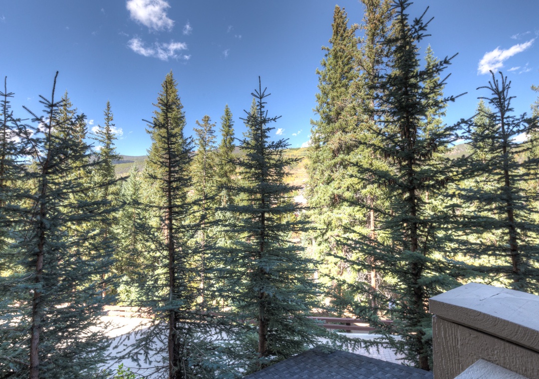 Mountain retreat surrounded by towering evergreen forest with distant peaks visible through the trees.