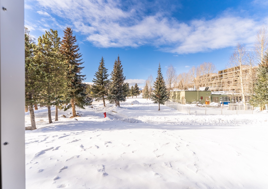 Pristine winter landscape surrounds the property with snow-covered grounds and towering evergreen trees under brilliant blue skies.