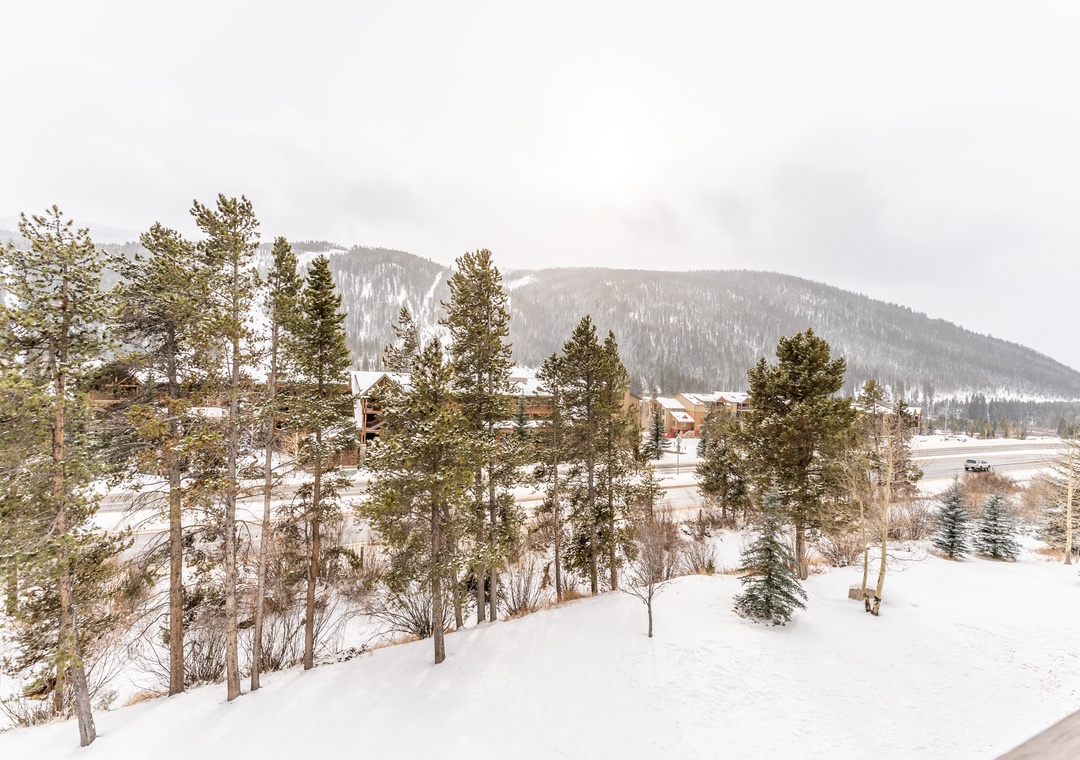 Snow-covered mountain landscape with forested hills and winter scenery surrounding the property area.