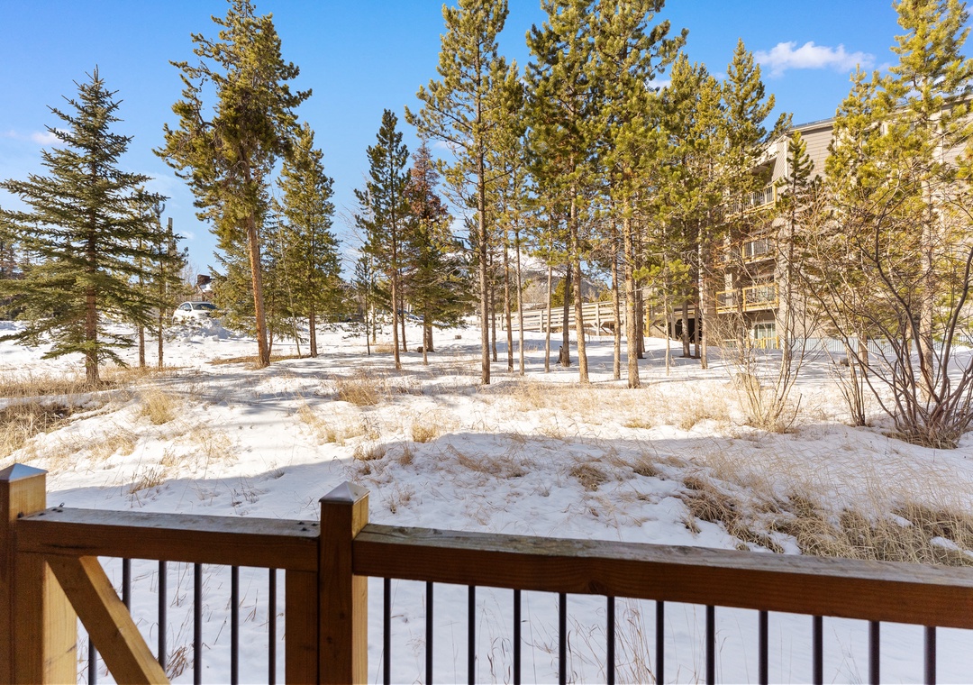 Snow-covered landscape with tall pine trees creates a peaceful winter setting near the property.