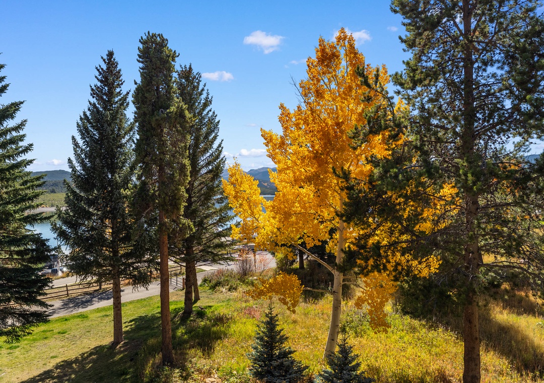 Stunning autumn landscape with golden aspens and evergreens creating a picturesque seasonal backdrop near the property.