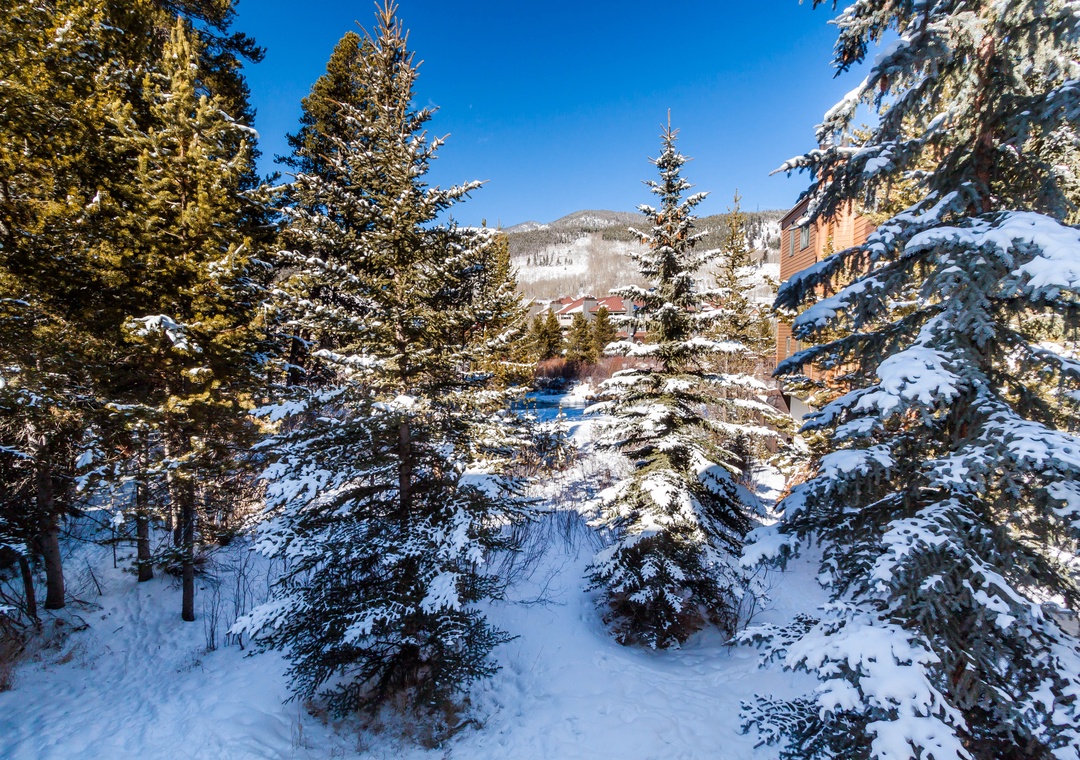 Winter wonderland surrounds this mountain retreat, with snow-laden evergreens and pristine alpine village views creating the perfect seasonal escape.
