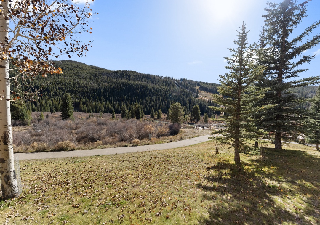 Stunning mountain landscape with forested hills and a winding path through fall foliage near the property.
