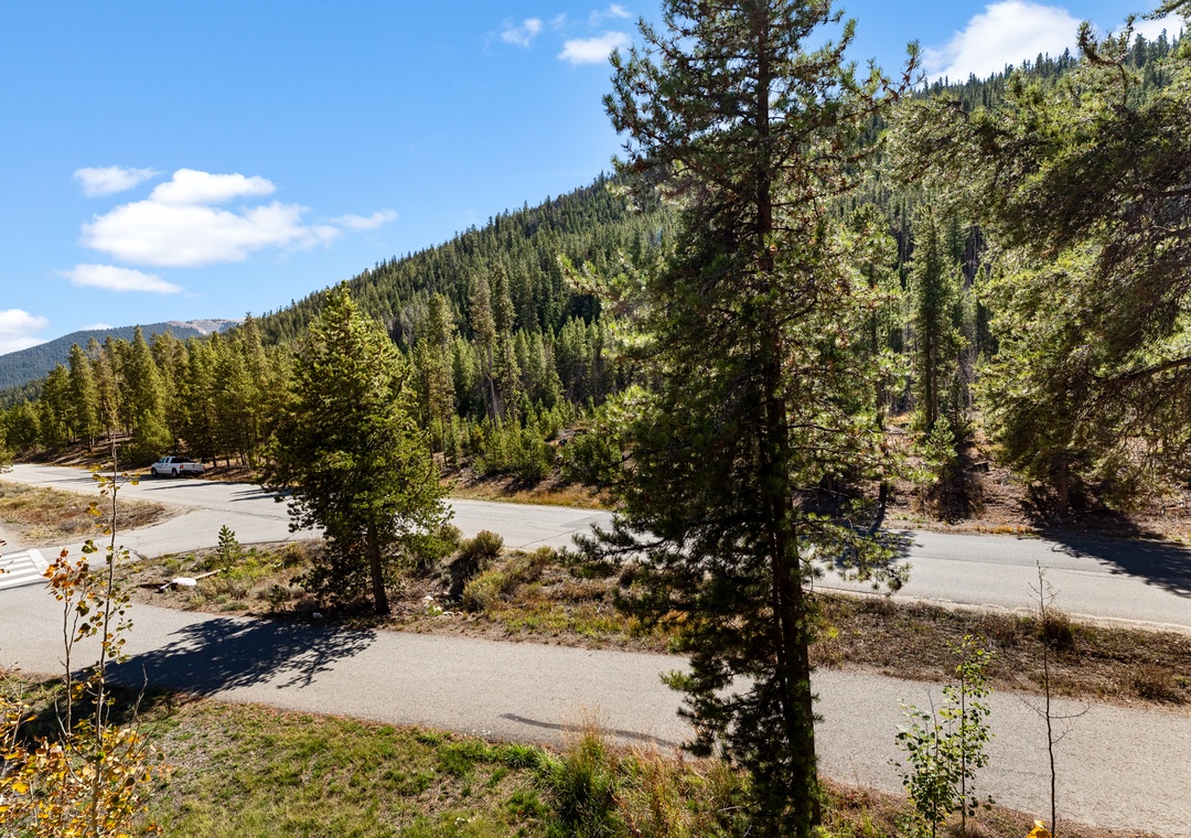 Mountain landscape with forested hills and winding roads surrounding the property area.