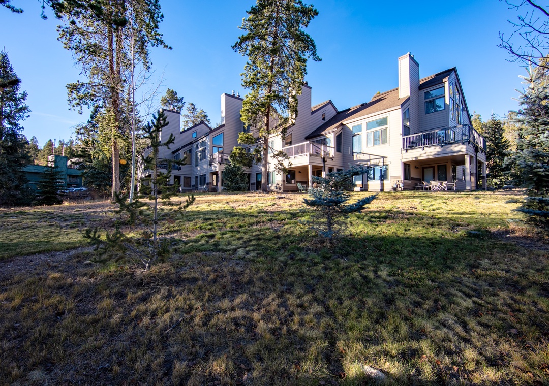 Modern vacation rental nestled among towering pine trees in a peaceful residential setting.