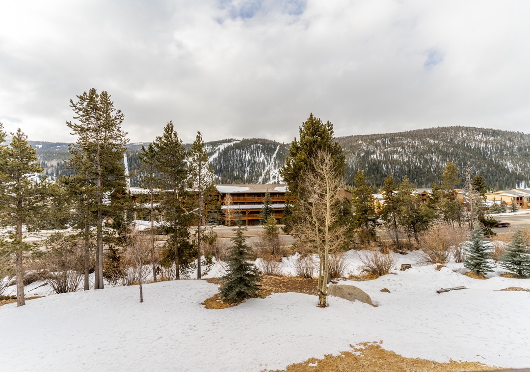 Mountain winter landscape with snow-covered peaks and forested slopes surrounding the neighborhood area.