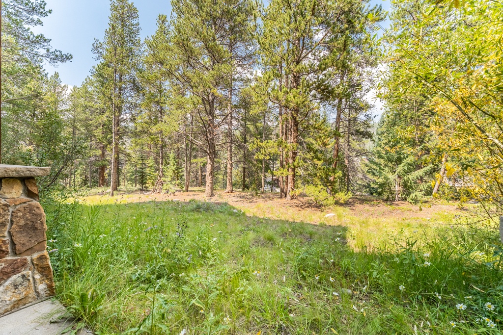 A peaceful forest meadow surrounds the property, offering serene natural landscapes with towering pines and seasonal wildflowers.