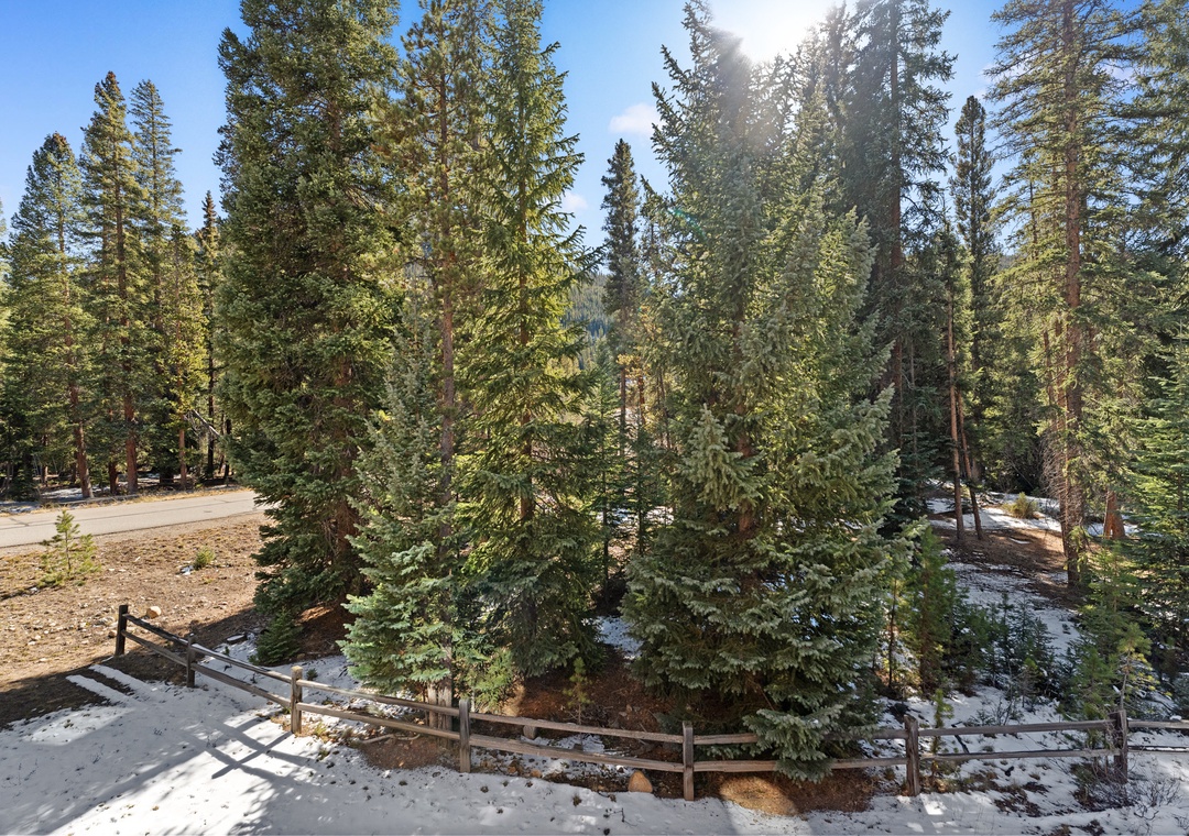 Peaceful forest setting with towering pines and patches of snow creating a serene natural backdrop for the property.
