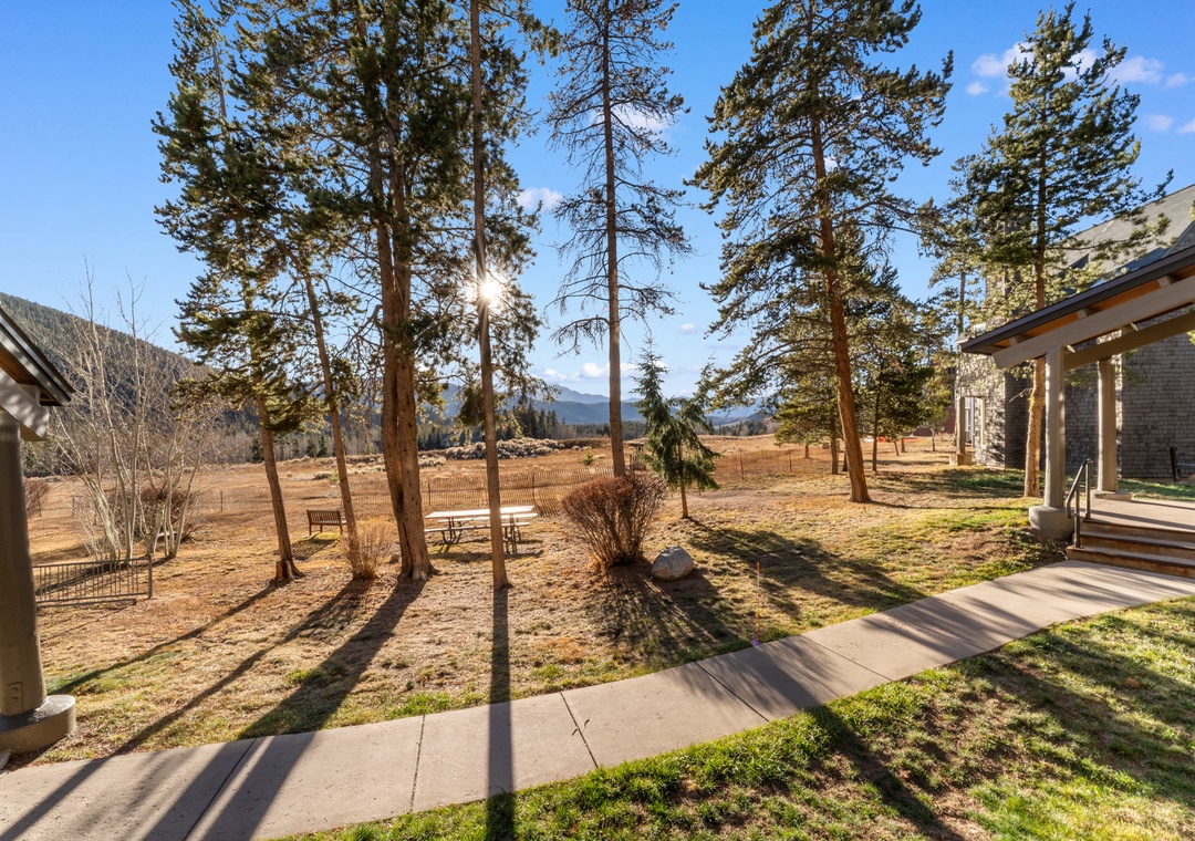 Peaceful mountain retreat surrounded by towering pines and expansive meadows, offering tranquil countryside views.