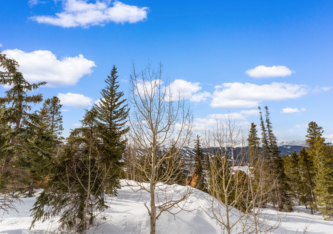 Snow-covered mountain landscape with evergreen trees beneath a brilliant blue sky dotted with white clouds.