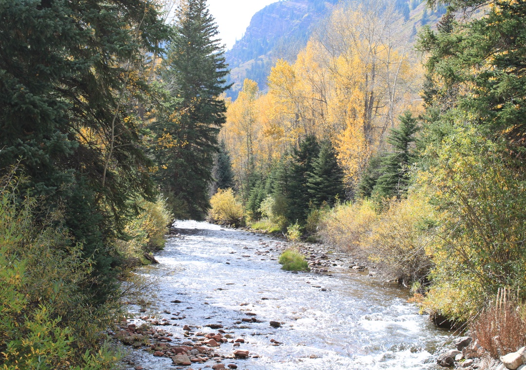 A pristine mountain river flows through golden autumn forest, with towering peaks creating a stunning natural backdrop in the surrounding wilderness area.