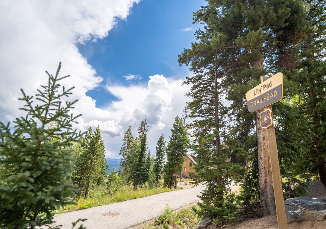 Forest trailhead surrounded by towering pines and mountain views, marking the start of scenic hiking adventures.