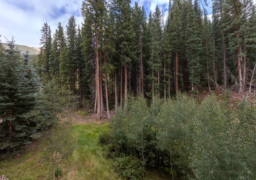 Dense forest surrounds the property with towering evergreens and mountain backdrop creating a secluded natural setting.