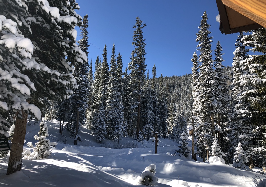 Snow-covered evergreens frame pristine winter slopes under brilliant blue skies, creating a perfect mountain retreat setting.