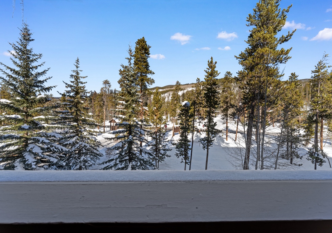 Snow-covered forest landscape with evergreen trees visible from the property during winter season.