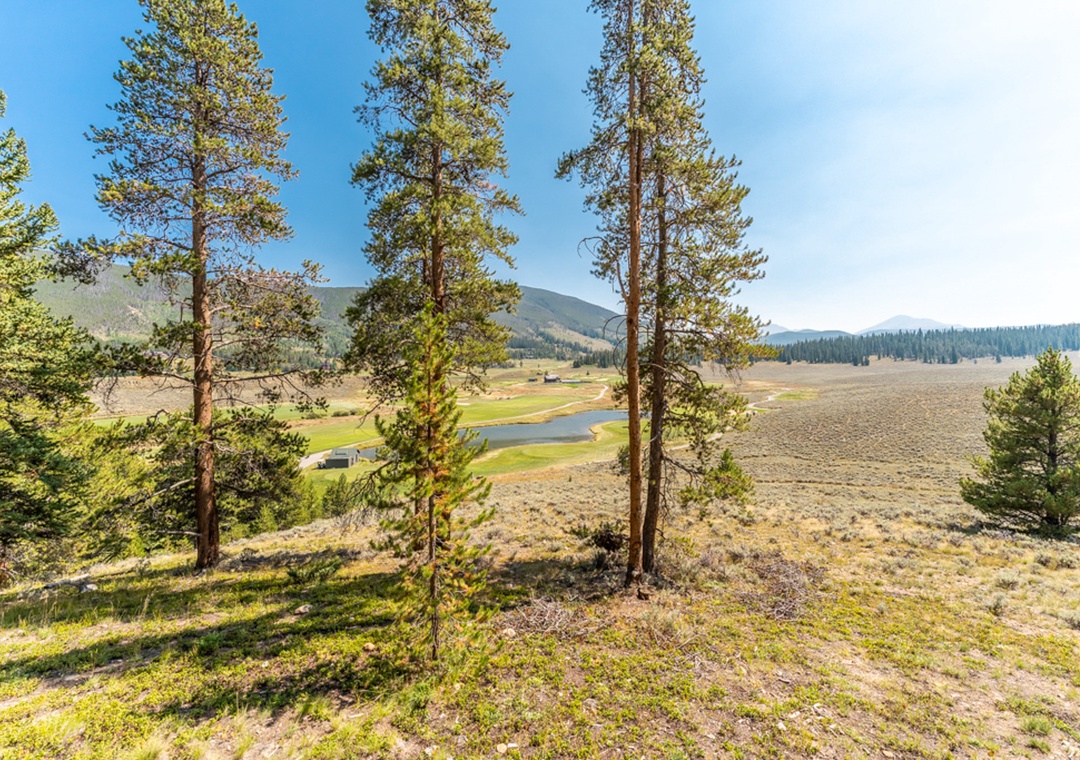 Expansive mountain valley with winding river, towering pines, and rolling meadows creates a pristine wilderness setting.