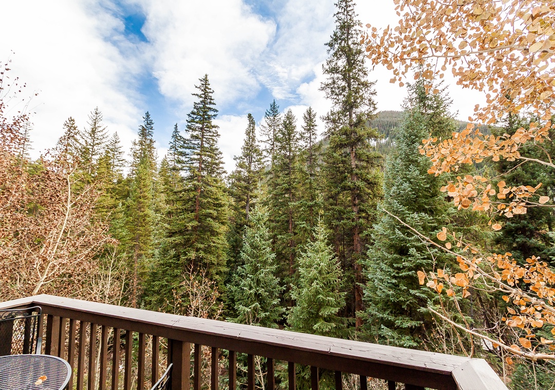 Step onto your private deck and breathe in the crisp mountain air as towering evergreens and autumn leaves frame your peaceful forest retreat.