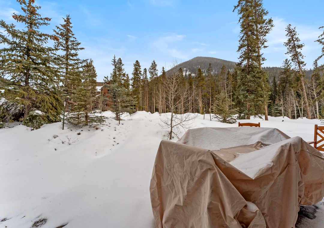 Covered outdoor furniture on a snow-dusted deck overlooks a serene mountain forest setting, ideal for winter getaways surrounded by evergreens and alpine peaks.