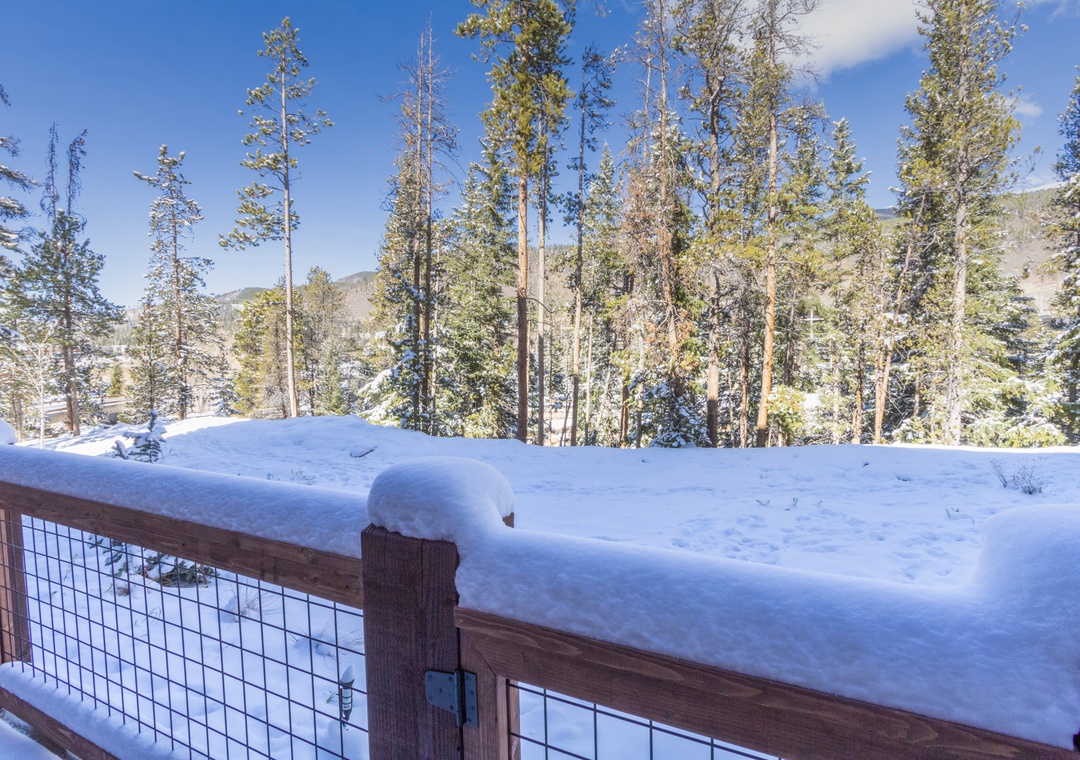 Pristine winter mountain landscape visible from the property, featuring snow-covered pine forests and distant peaks under bright blue skies.