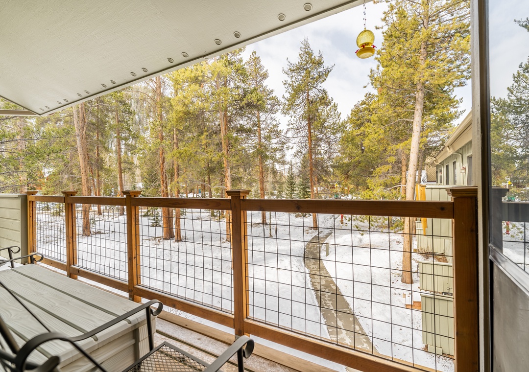 Relax on your private covered balcony surrounded by towering pines, where morning coffee tastes better with forest views stretching endlessly before you.