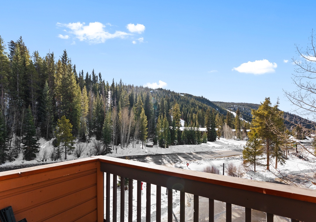 Step onto your private balcony and breathe in crisp mountain air while taking in stunning winter views of snow-covered peaks and forest.