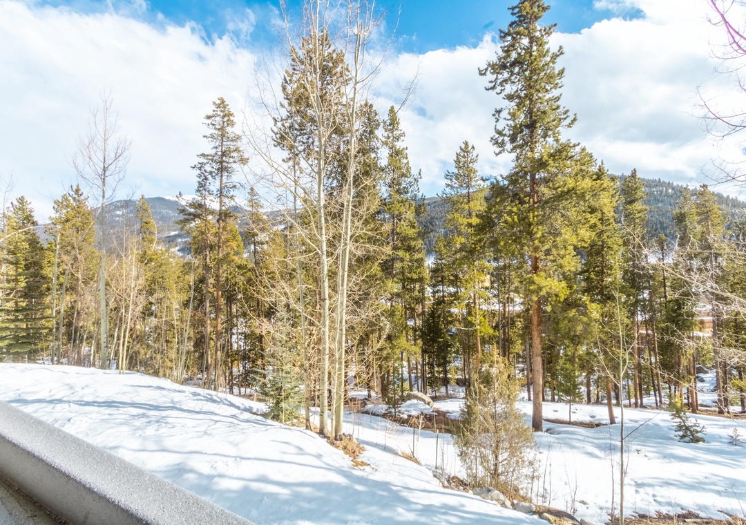 Snow-covered forest landscape with mountain backdrop creates a serene winter setting near the property.