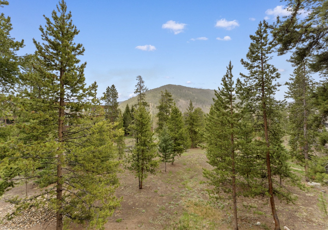 Stunning mountain landscape surrounded by pine forest creates a peaceful natural setting for your mountain getaway.