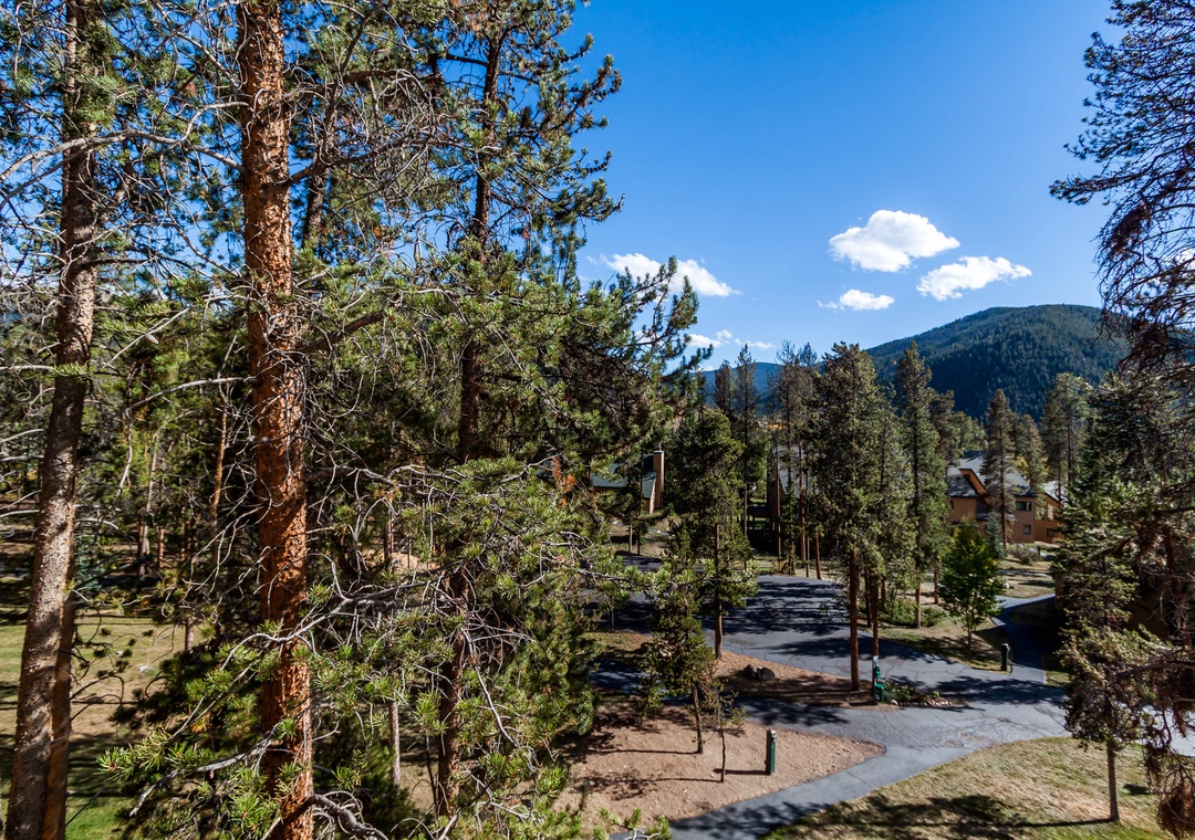 Mountain retreat surrounded by towering pines and forest trails, offering peaceful natural escape.