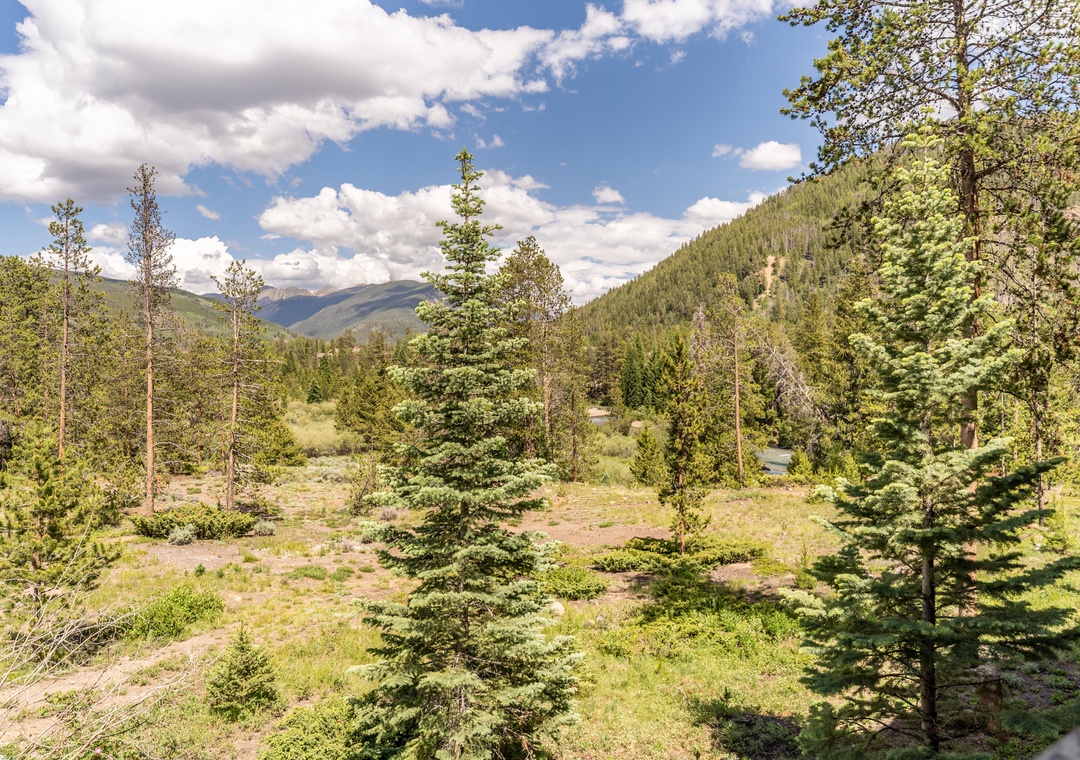 Mountain wilderness stretches across rolling hills dotted with evergreens under an expansive blue sky.