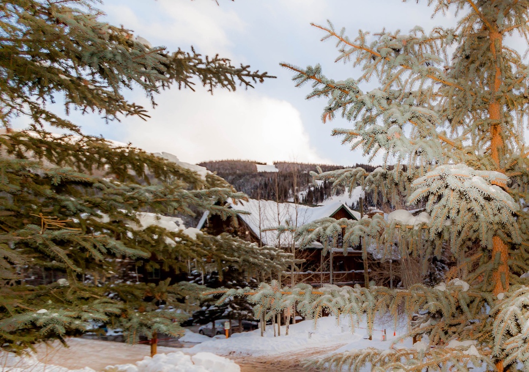 Snow-covered mountain chalets nestled among frosted evergreens create a serene winter wonderland setting.