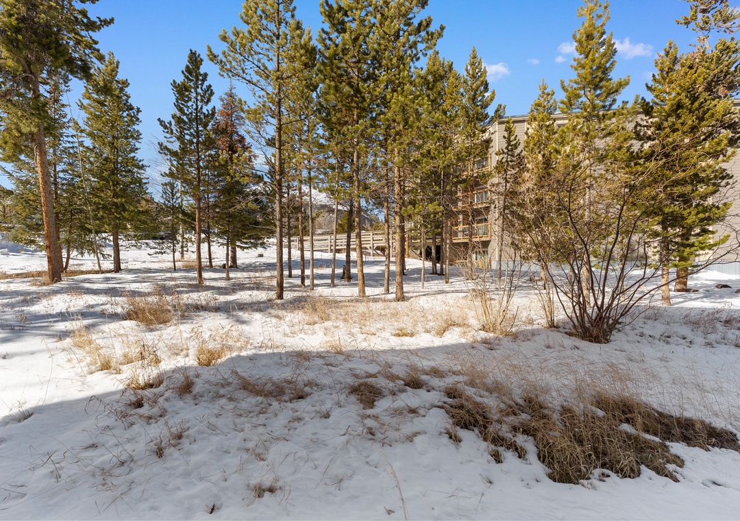 Snow-covered grounds surrounded by towering evergreens create a peaceful winter mountain setting near the property building.