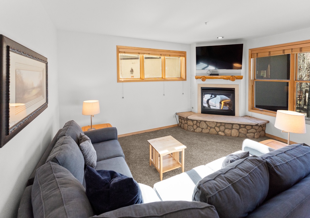 The Corral at Breckenridge #206S : 2