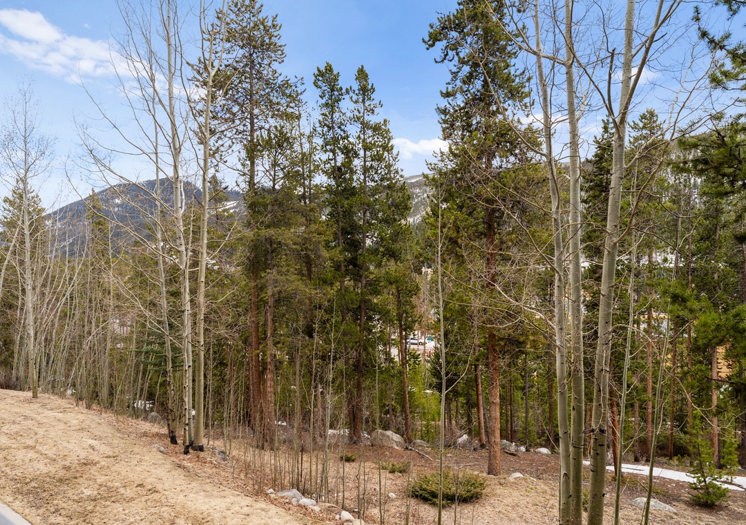 Mountain forest setting with evergreen and aspen trees surrounding the property area, creating a peaceful natural retreat environment.