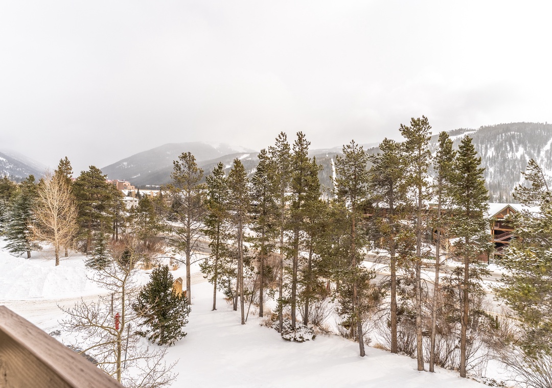 Stunning winter mountain landscape with snow-covered peaks and evergreen forest surrounding the property area.