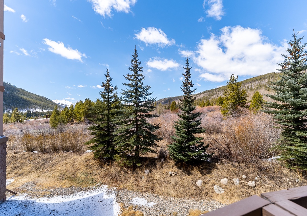 Mountain vistas and evergreen forests create a stunning natural backdrop visible from the property's outdoor spaces.