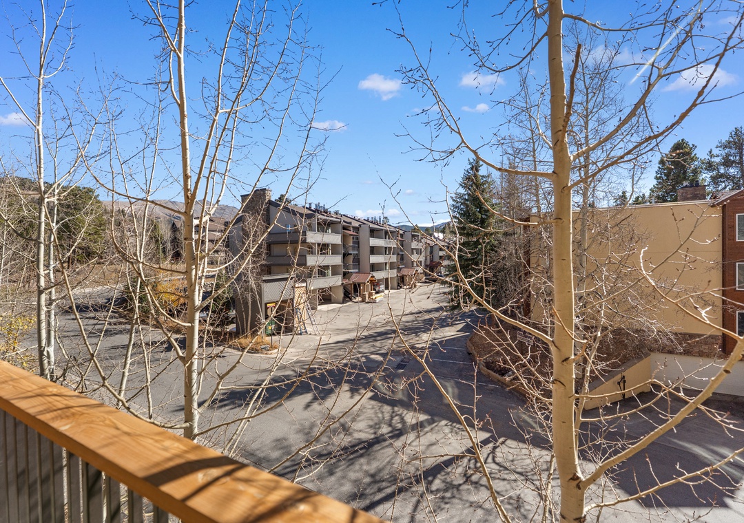 Peaceful neighborhood views stretch beyond bare winter branches from this elevated vantage point in the surrounding mountain community.