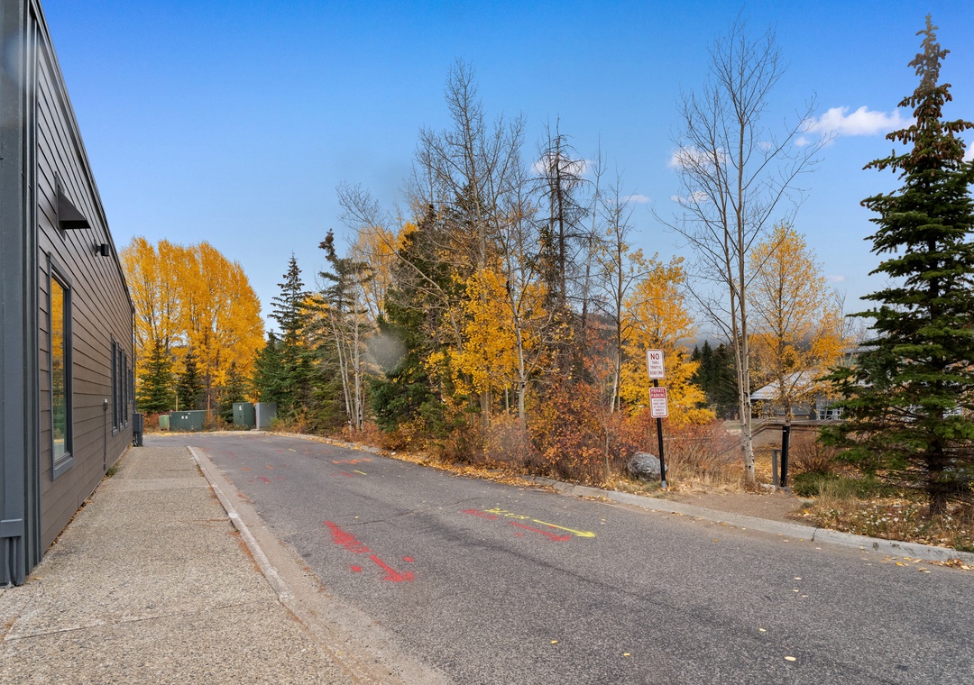 Modern property sits along a quiet residential street surrounded by vibrant autumn foliage and towering evergreens.