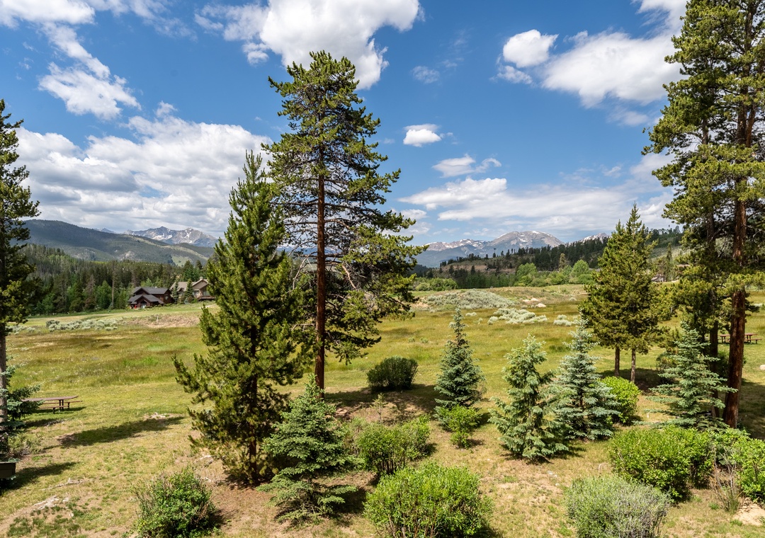 Sweeping mountain views showcase pristine wilderness with snow-capped peaks, evergreen forests, and open meadows creating a dramatic natural backdrop for the property.