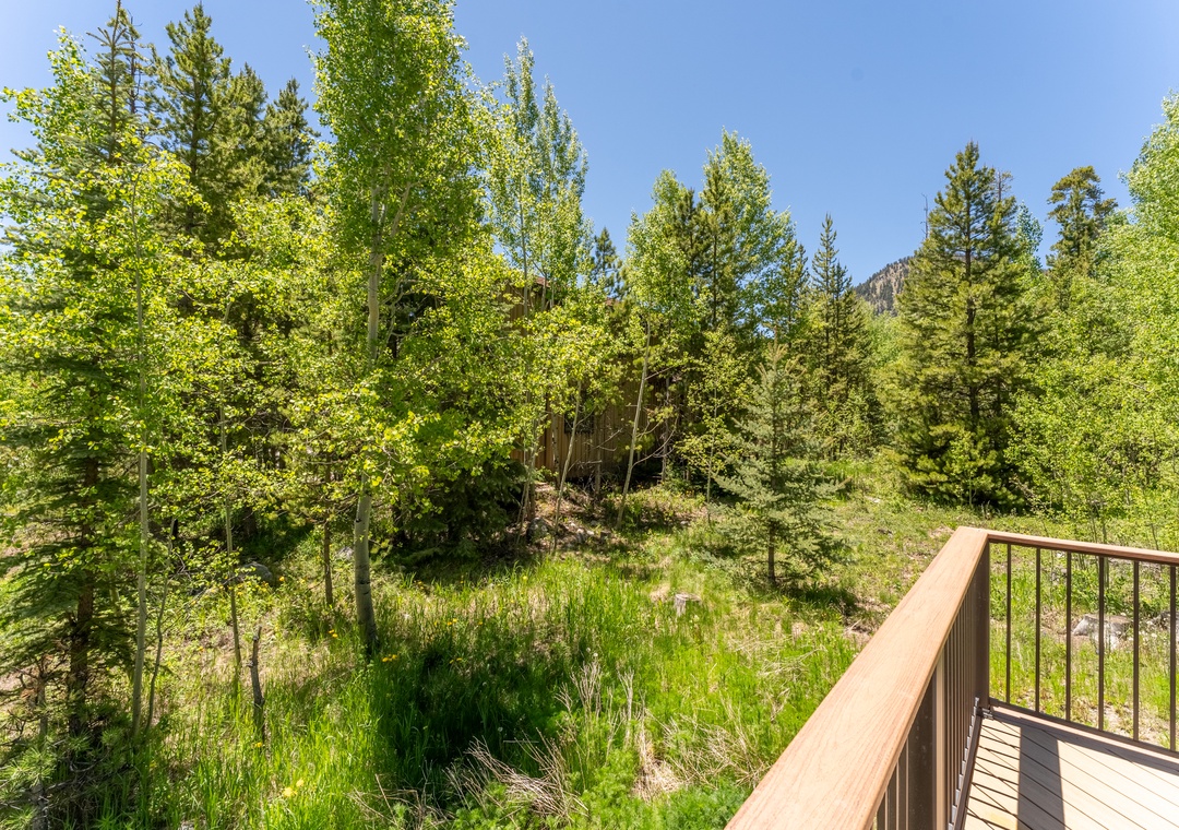 Natural forest landscape with lush green trees and mountain backdrop creates a peaceful setting for the property.