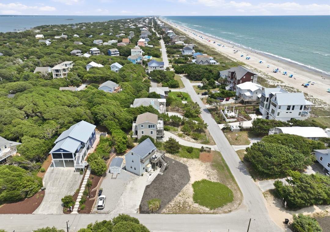 Dolphin Reach Up | Aerial View
