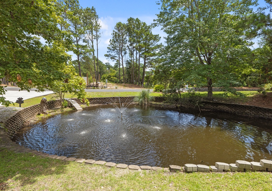 Turtle Pond!