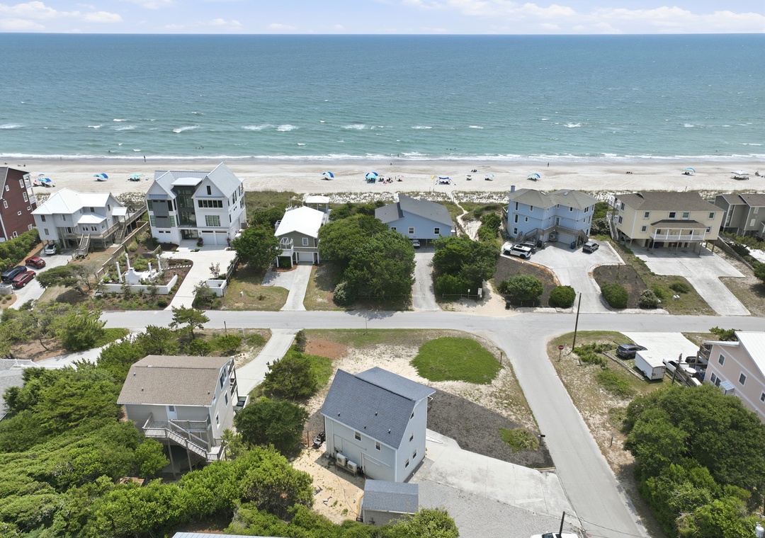 Dolphin Reach Down | Aerial View