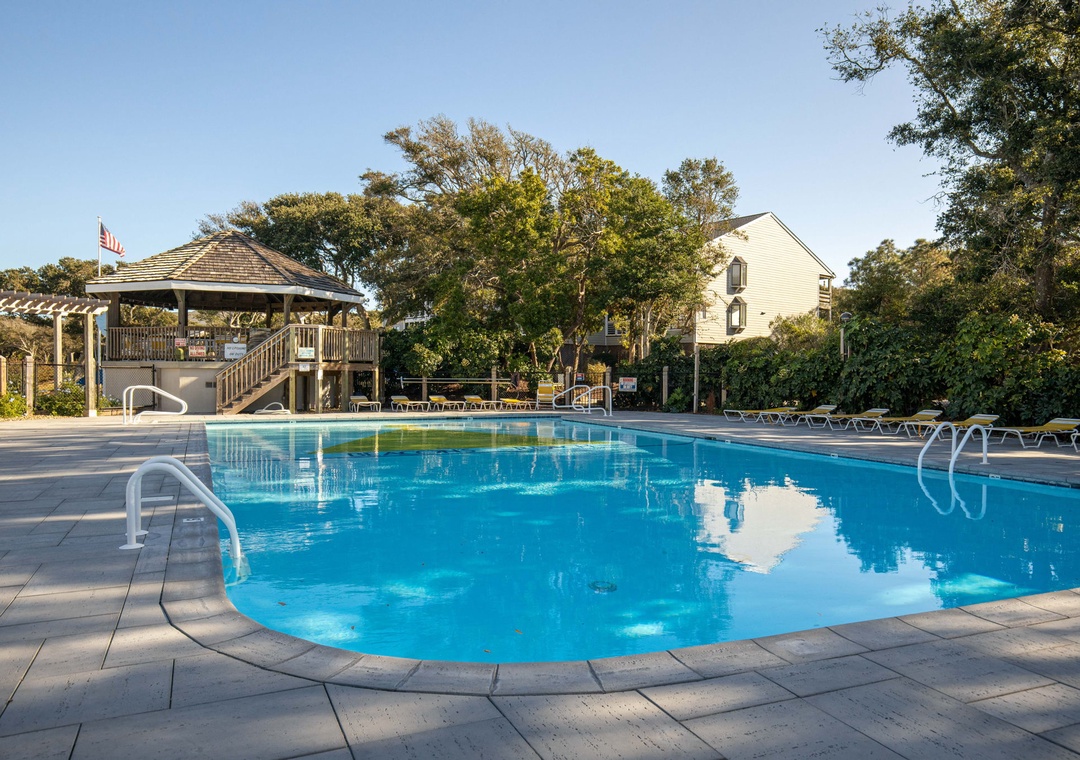 Sparkling blue pool surrounded by mature trees and peaceful residential setting, perfect for relaxing swims.