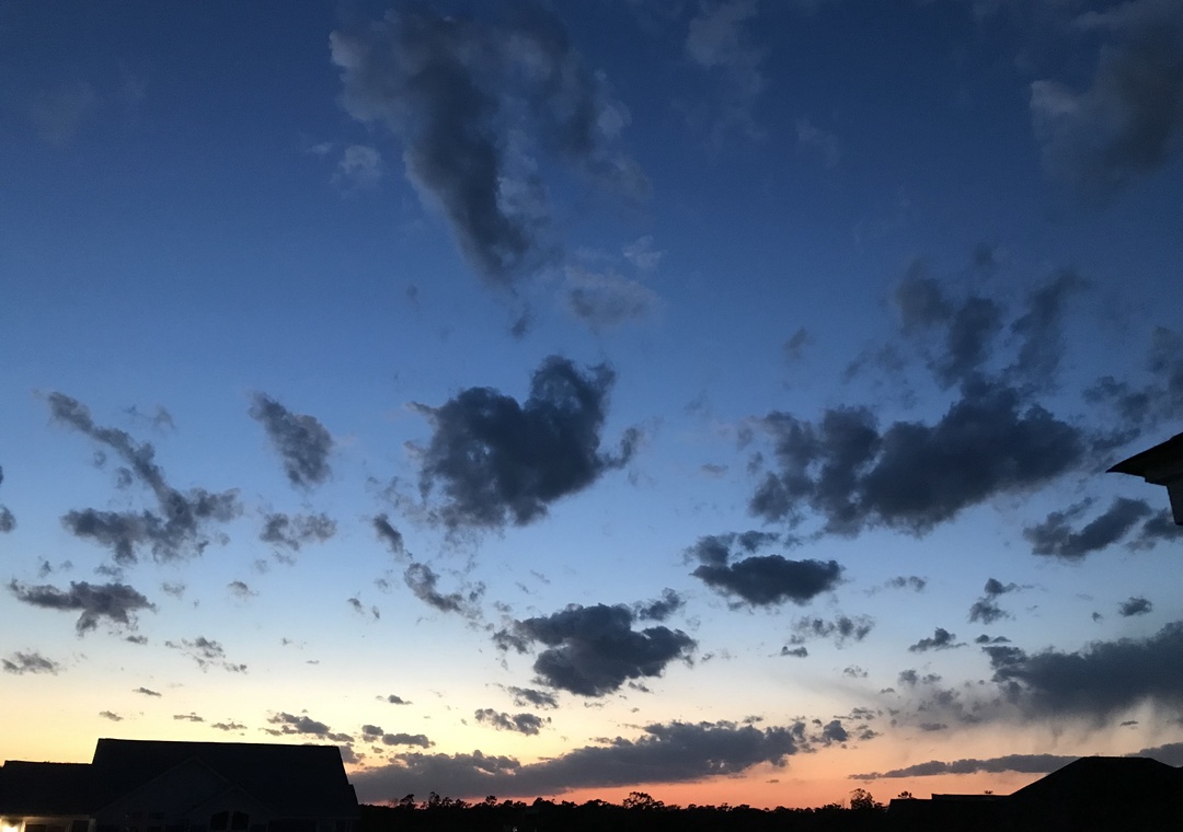 Night Sky